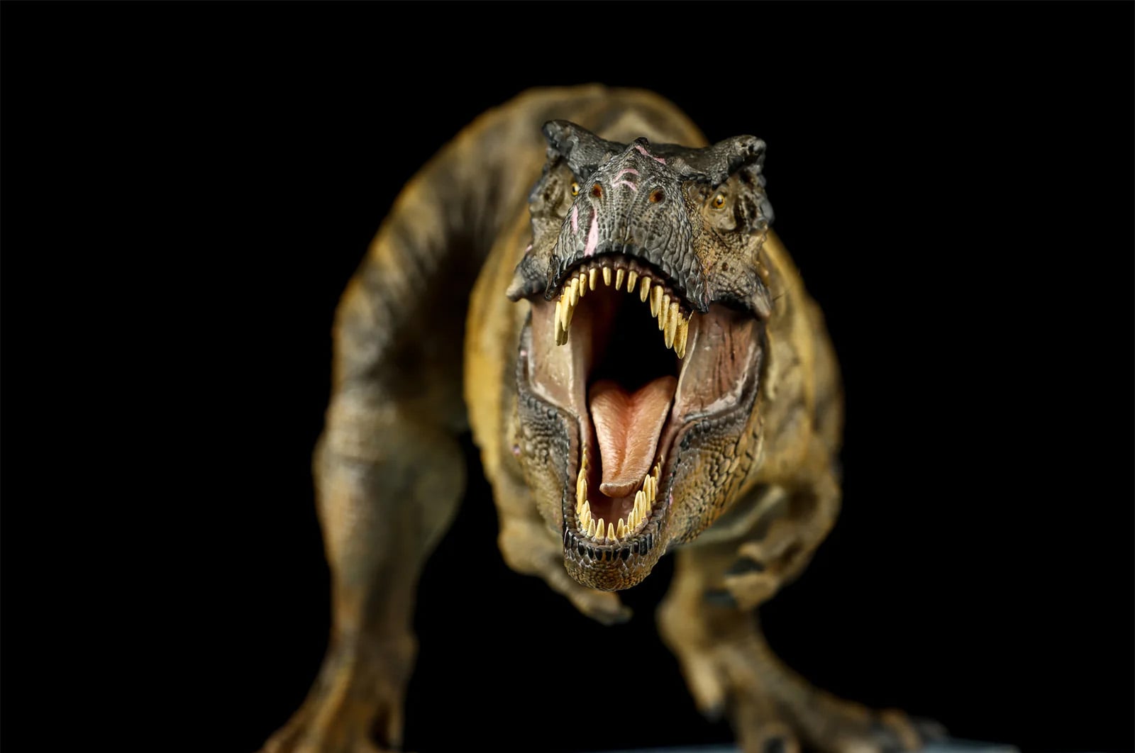 Jurassic World: Rebirth Dino Dream Tyrannosaurus Rex 1/30 Scale Statue Gallery Image 4