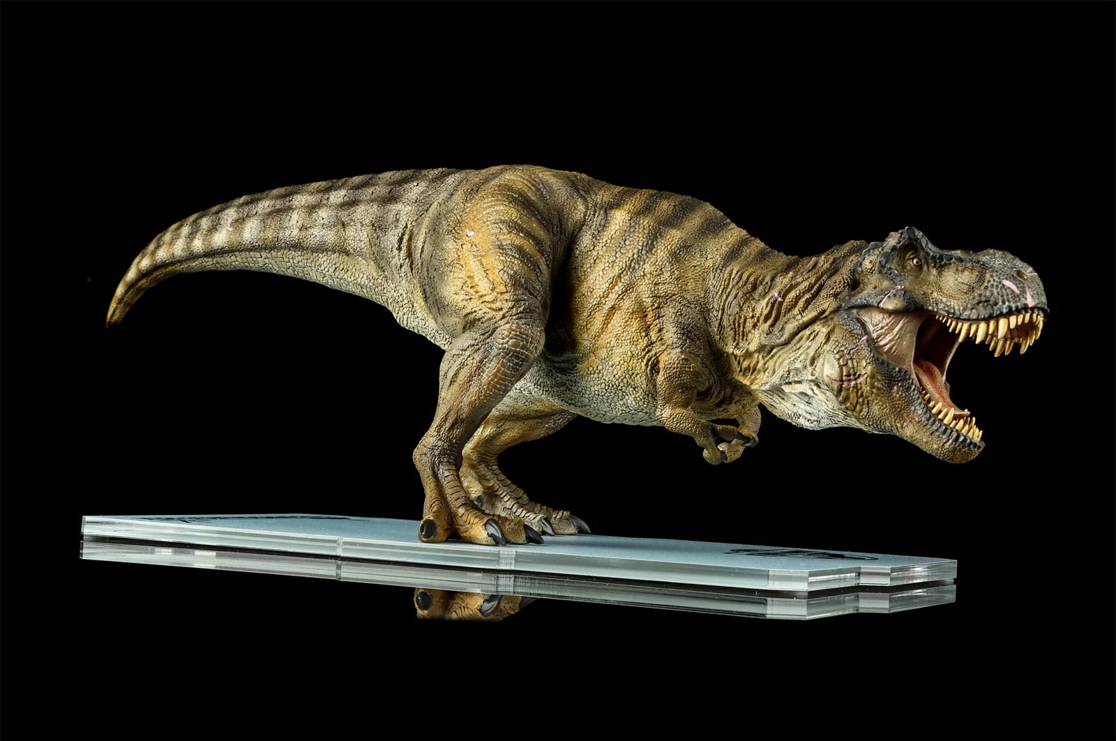 Jurassic World: Rebirth Dino Dream Tyrannosaurus Rex 1/30 Scale Statue Gallery Image 5