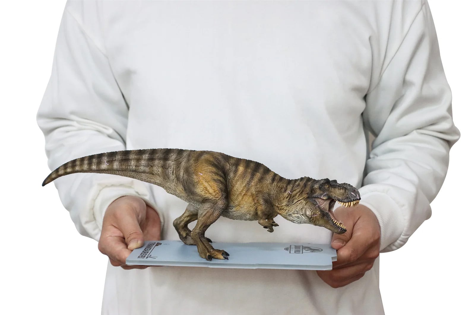 Jurassic World: Rebirth Dino Dream Tyrannosaurus Rex 1/30 Scale Statue Gallery Image 14