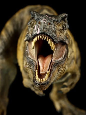 Jurassic World: Rebirth Dino Dream Tyrannosaurus Rex 1/30 Scale Statue Gallery Image 2