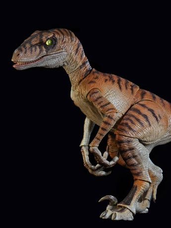 Image of Zero-Set Easy Motion Raptor 2.5+ Tiger Blade Action Figure