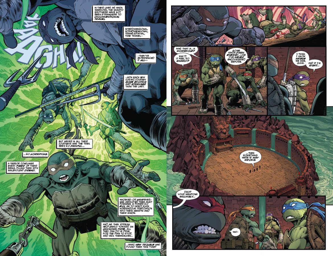 Teenage Mutant Ninja Turtles: Battle Nexus Gallery Image 9