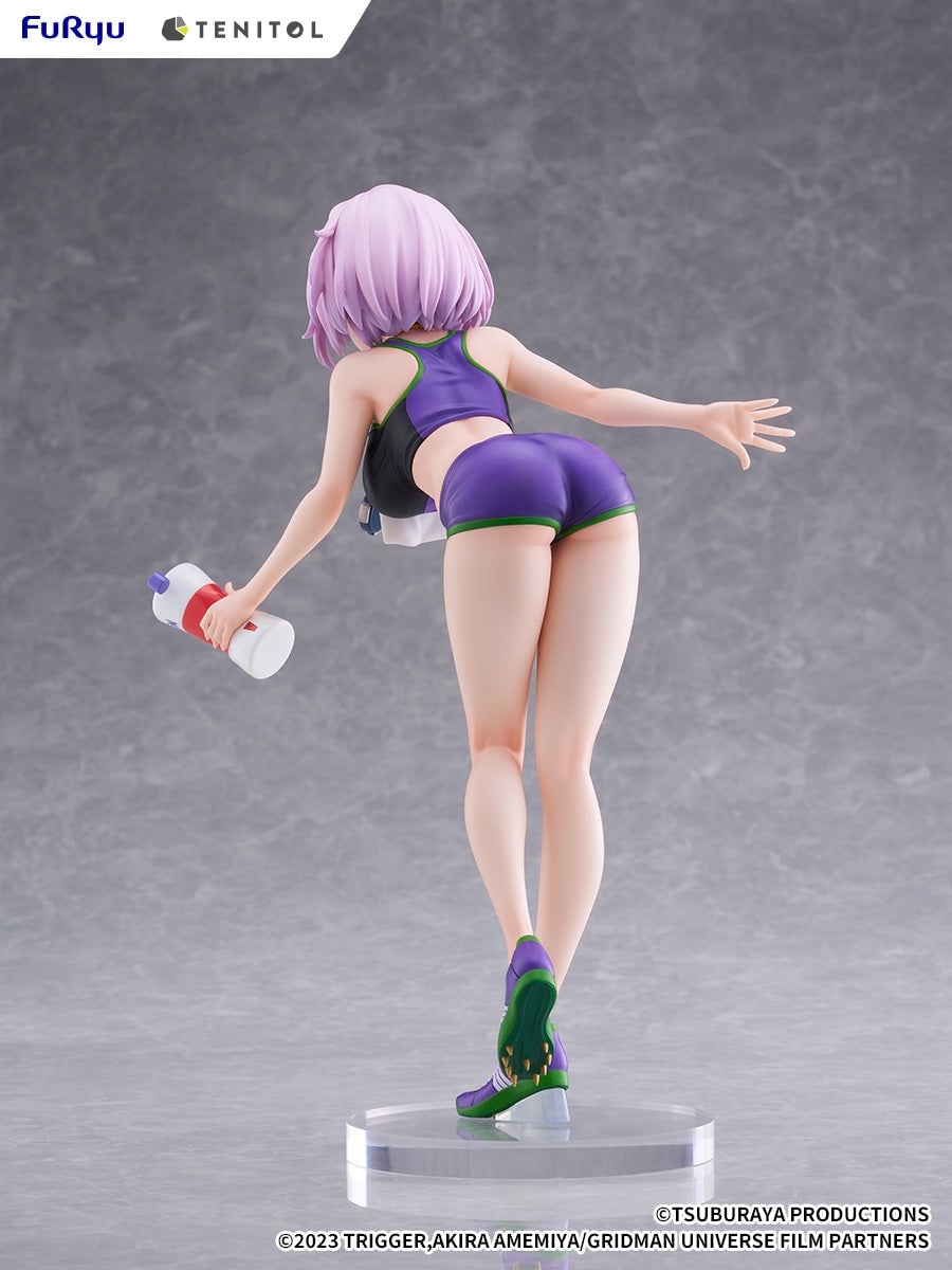 Gridman Universe Tenitol Tall Akane Shinjo (Sportswear Ver.) Figure Gallery Image 13