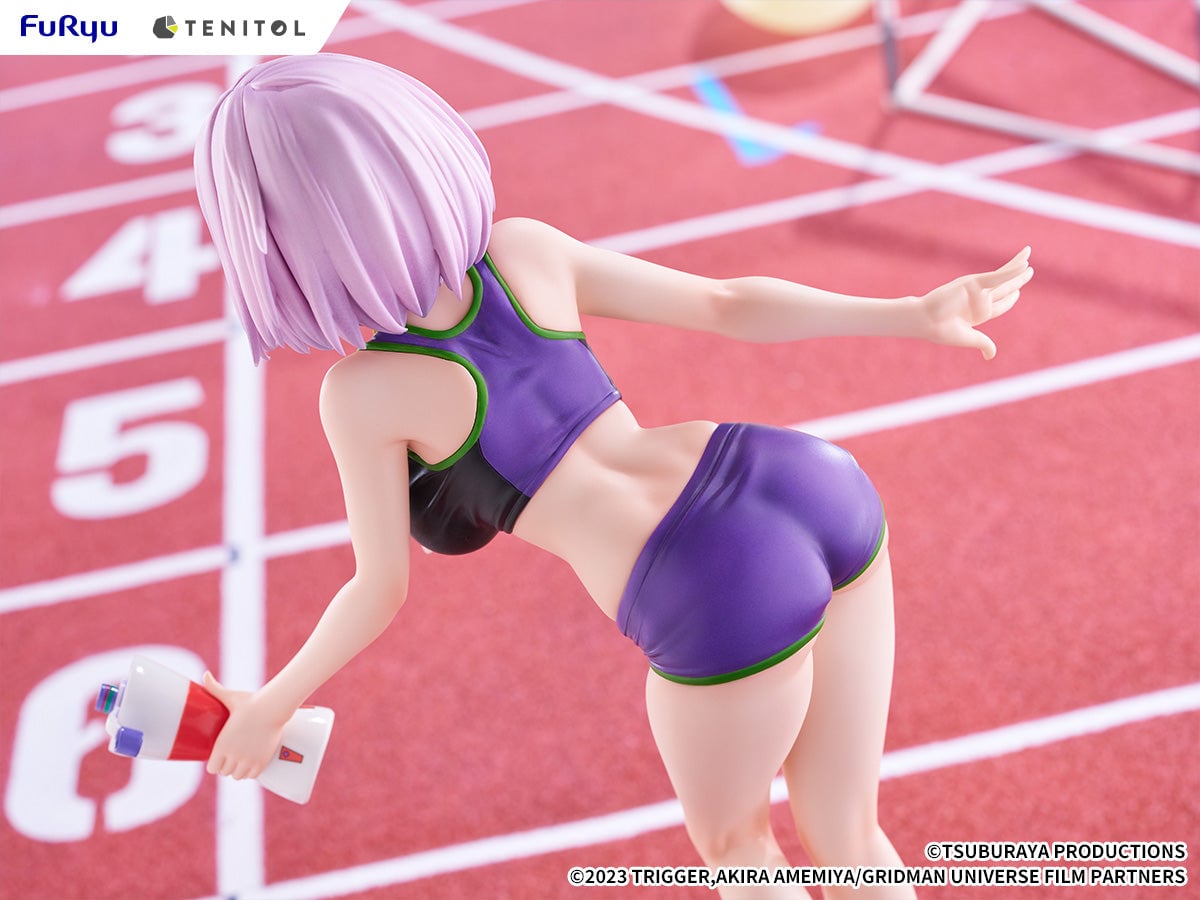 Gridman Universe Tenitol Tall Akane Shinjo (Sportswear Ver.) Figure Gallery Image 10