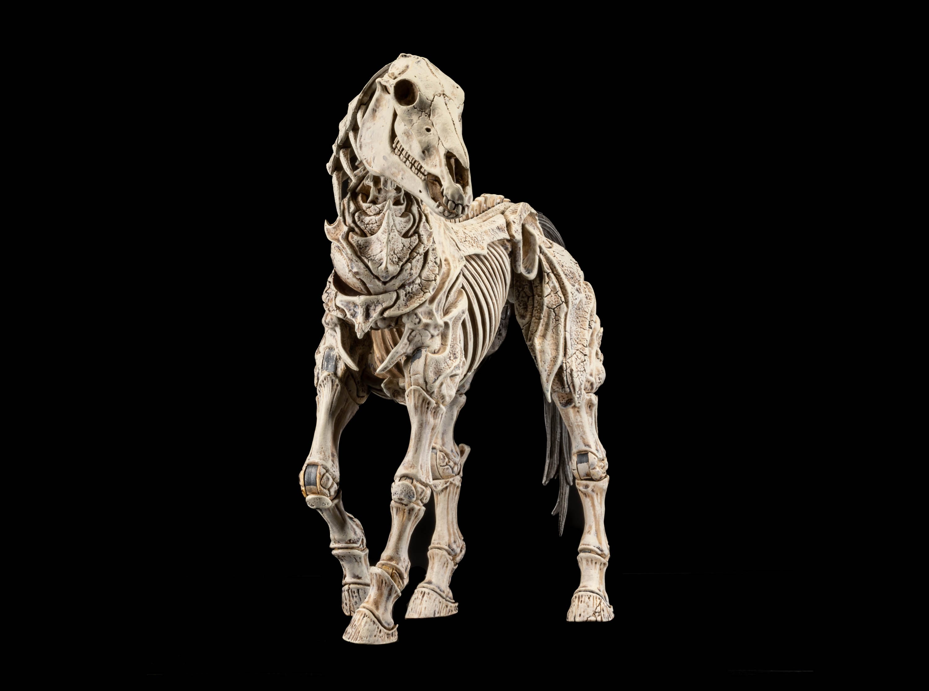 Mythic Legions Skeleton Steed Legion Builder Action Figure Gallery Image 3