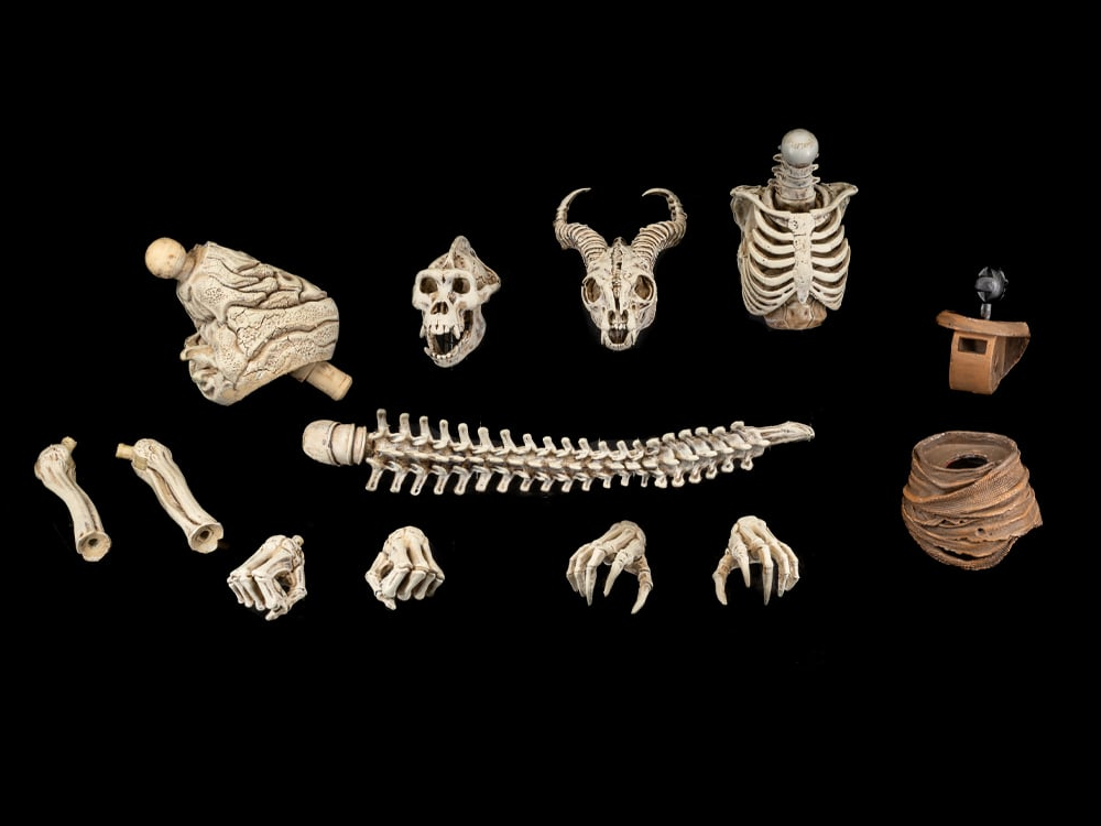 Mythic Legions Skeleton Soldiers Add-On Accessory Set Gallery Image 1