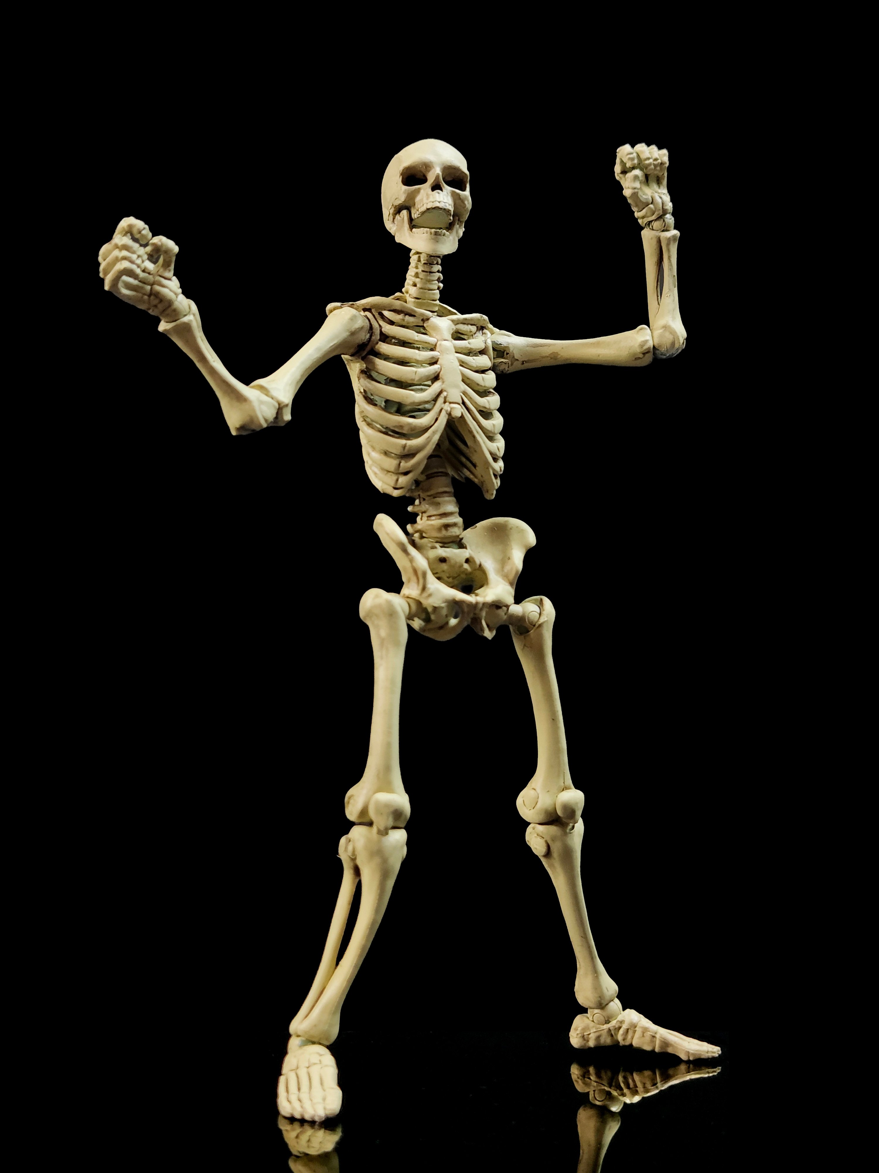 Epic H.A.C.K.S. Skeleton Blank (Classic Bone) 1/12 Scale Action Figure Gallery Image 9