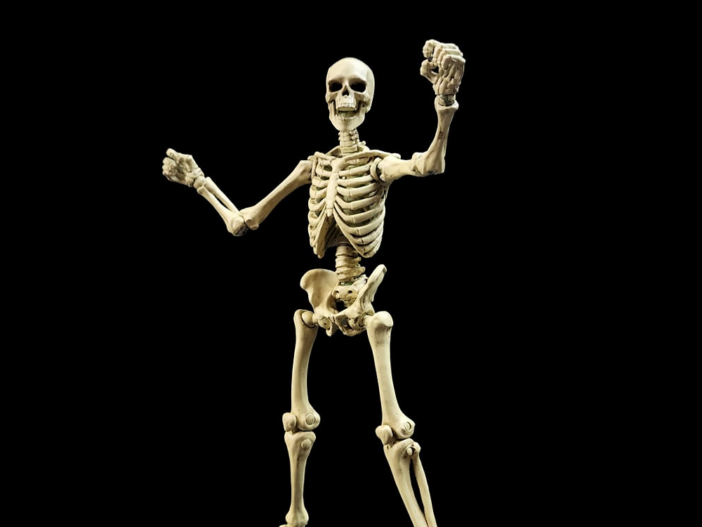 Epic H.A.C.K.S. Skeleton Blank (Classic Bone) 1/12 Scale Action Figure Gallery Image 1