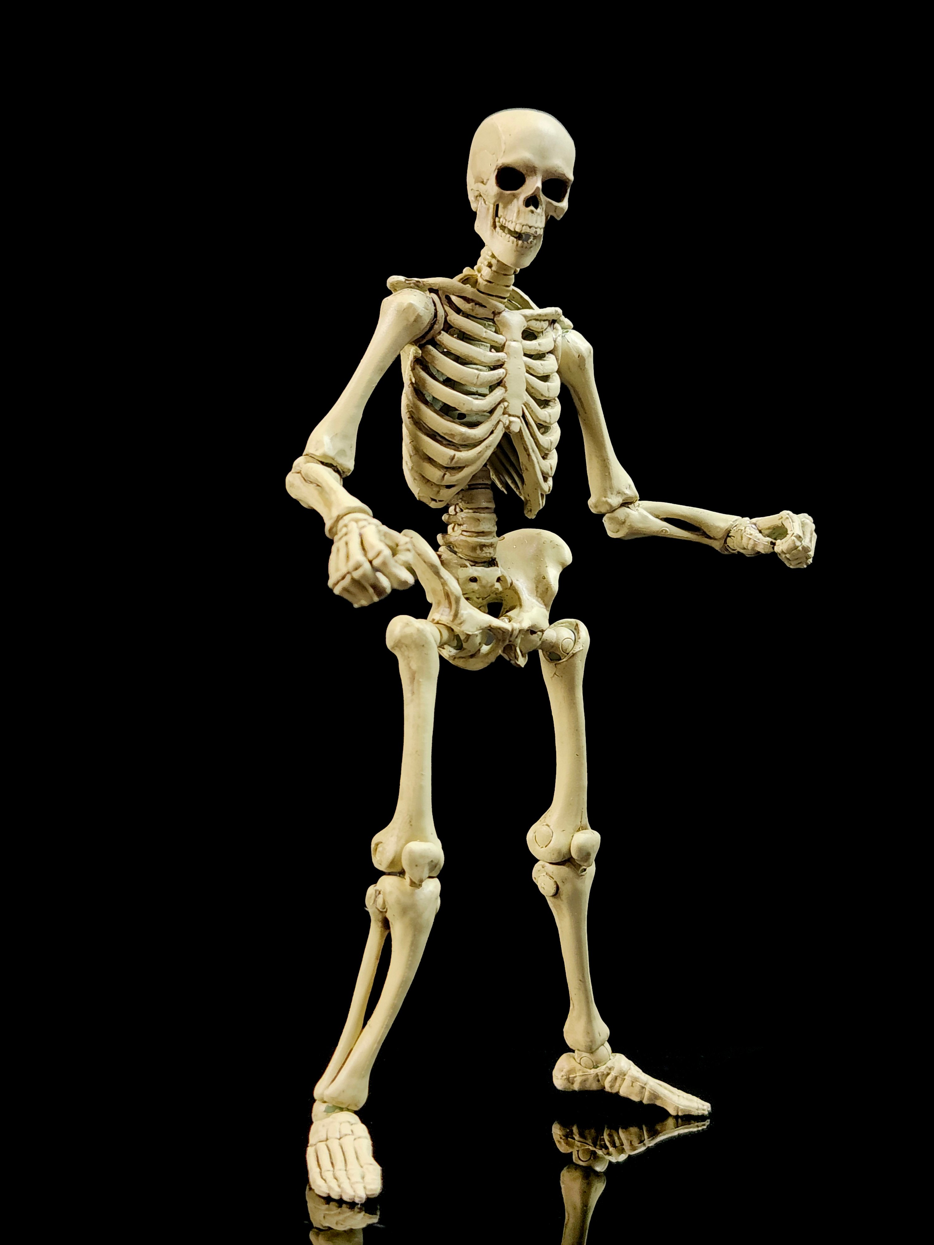 Epic H.A.C.K.S. Skeleton Blank (Classic Bone) 1/12 Scale Action Figure Gallery Image 6