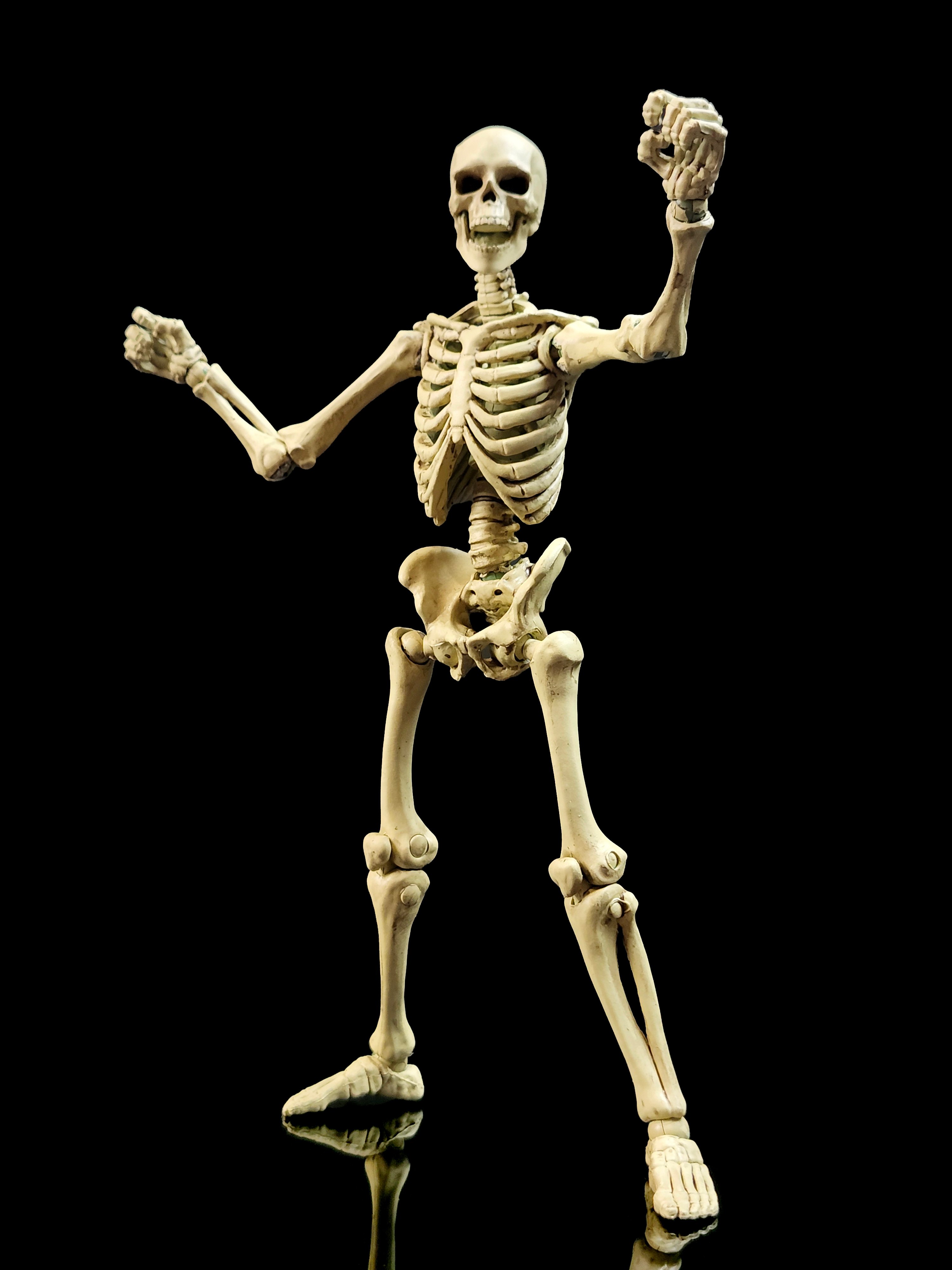 Epic H.A.C.K.S. Skeleton Blank (Classic Bone) 1/12 Scale Action Figure Gallery Image 8