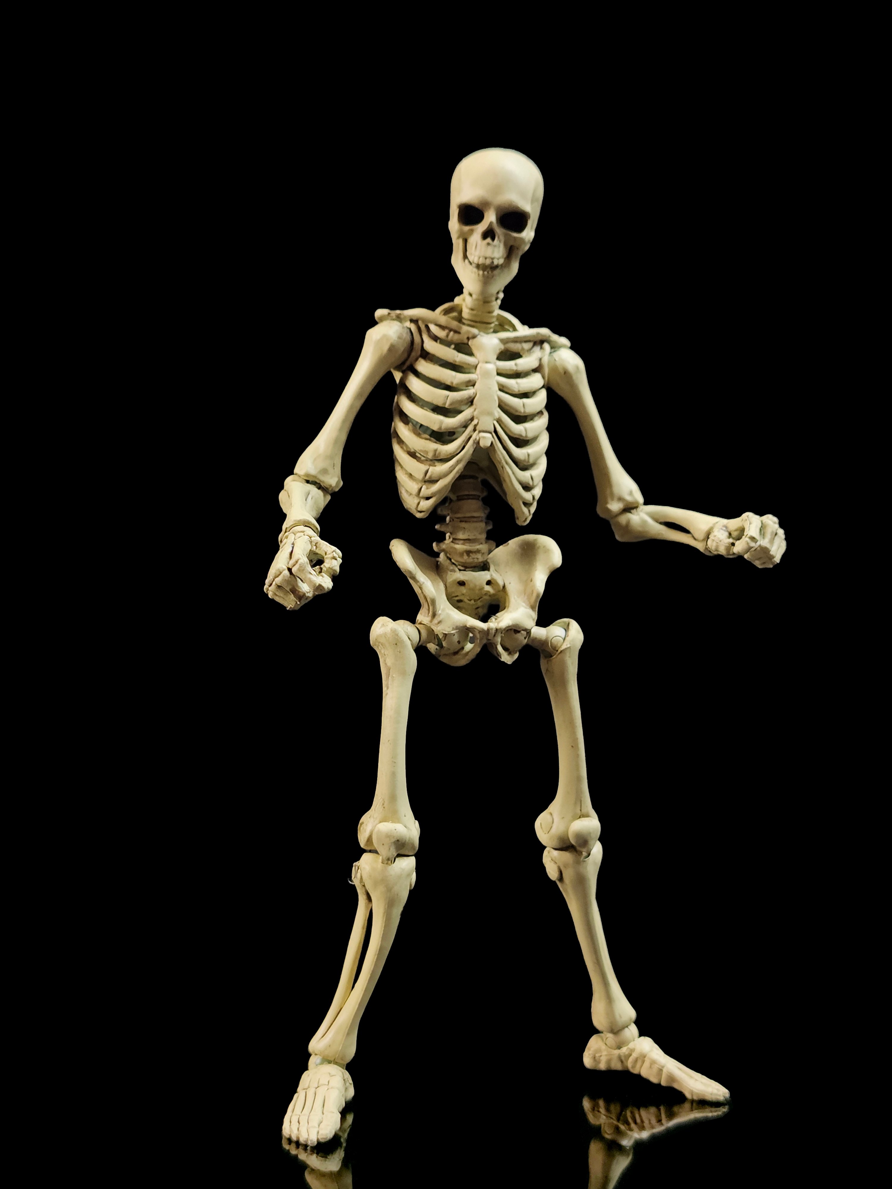 Epic H.A.C.K.S. Skeleton Blank (Classic Bone) 1/12 Scale Action Figure Gallery Image 5