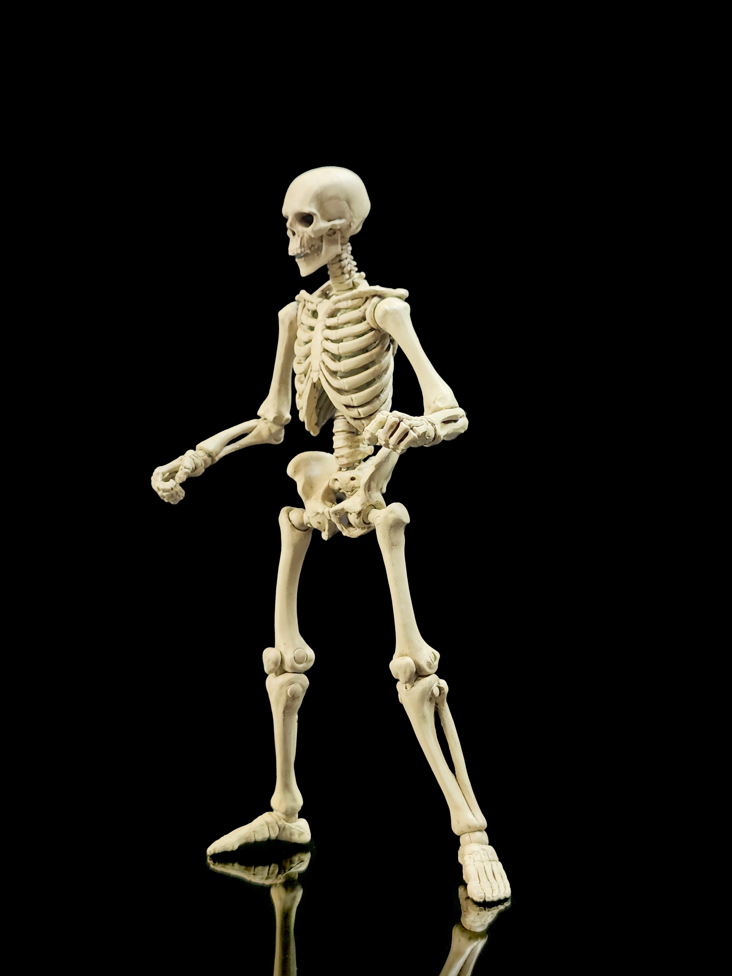 Epic H.A.C.K.S. Skeleton Blank (Classic Bone) 1/12 Scale Action Figure Gallery Image 10