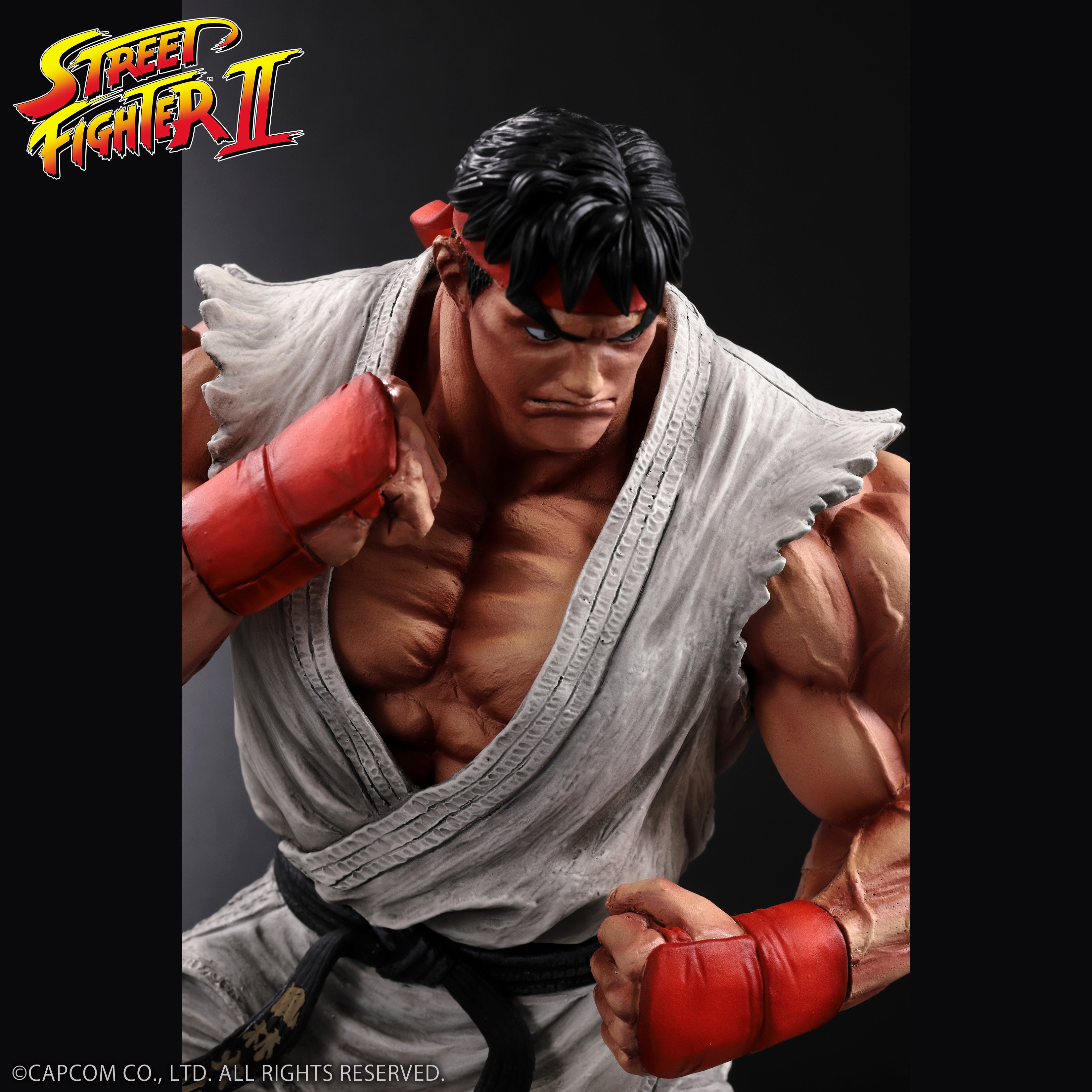 Street Fighter II The King of Collectors '24 Ryu (Standard Color Ver.) Figure Gallery Image 25