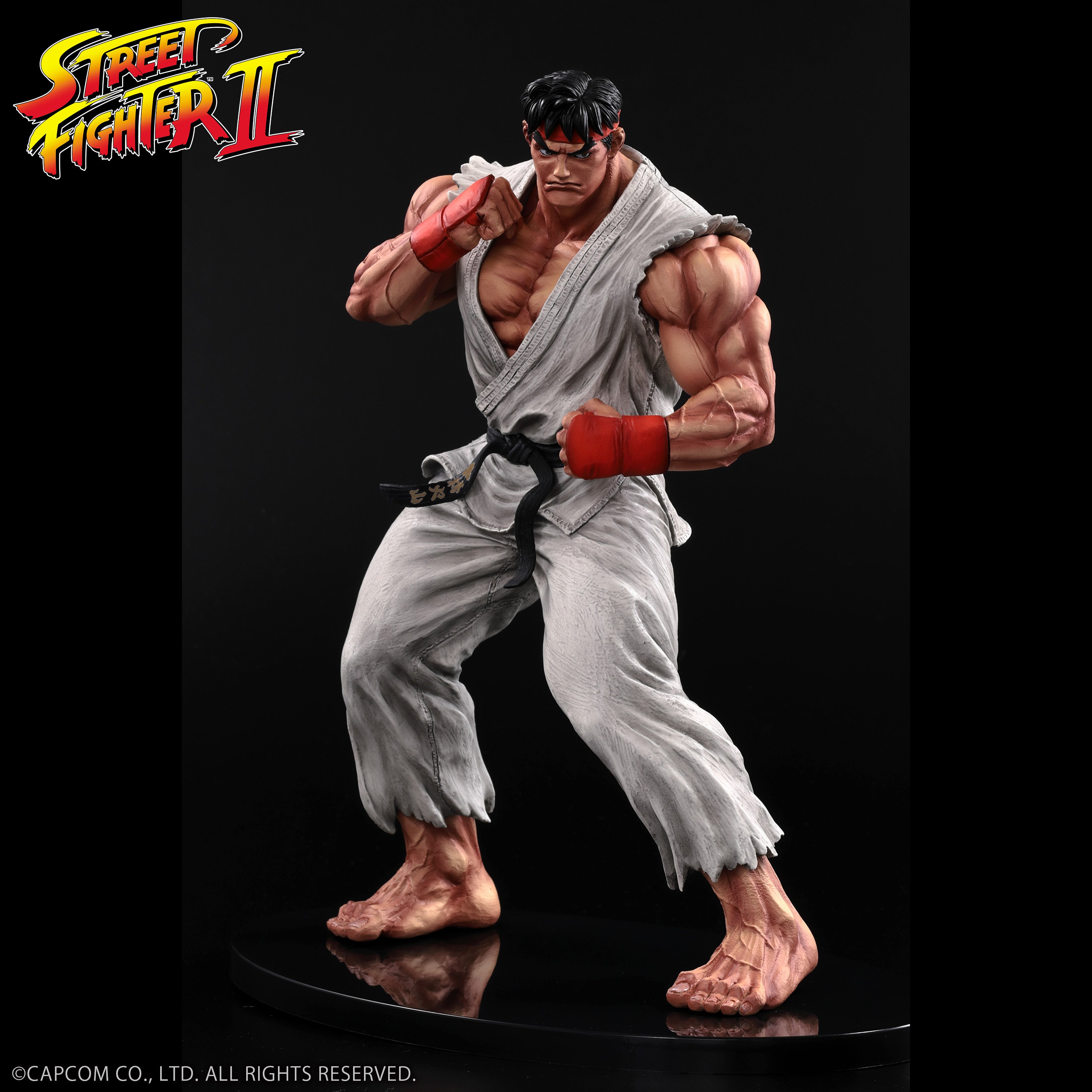 Street Fighter II The King of Collectors '24 Ryu (Standard Color Ver.) Figure Gallery Image 24