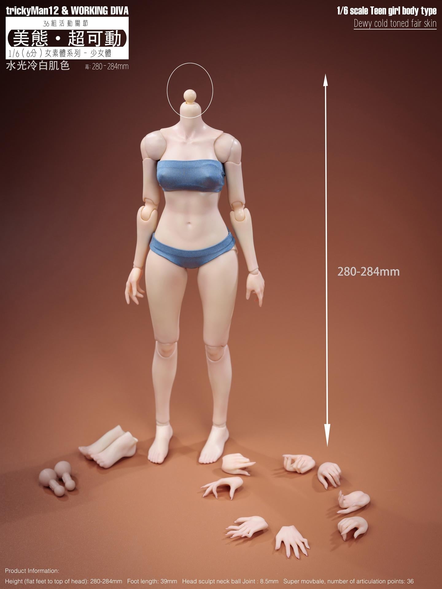 Female (Skin Tone Ver. A) 1/6 Scale Body Gallery Image 3