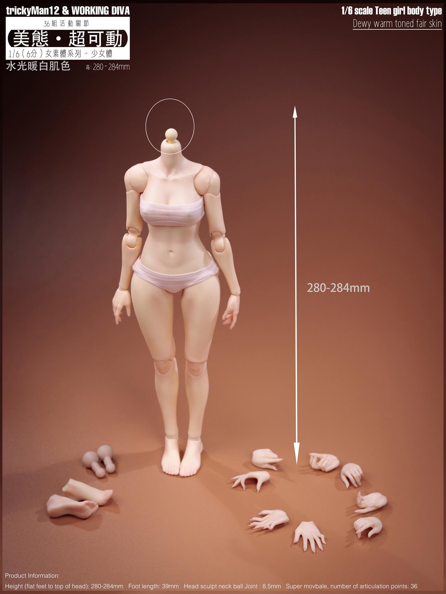 Female (Skin Tone Ver. B) 1/6 Scale Body Gallery Image 3