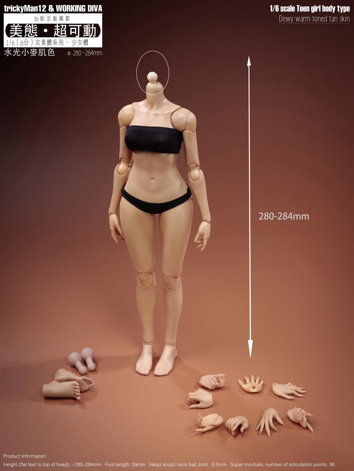 Female (Skin Tone Ver. C) 1/6 Scale Body Gallery Image 3