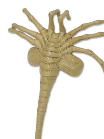 Aliens Facehugger Life-Size Foam Prop Replica Gallery Image 2