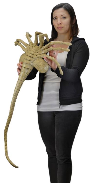 Aliens Facehugger Life-Size Foam Prop Replica Gallery Image 6