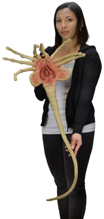 Aliens Facehugger Life-Size Foam Prop Replica Gallery Image 5