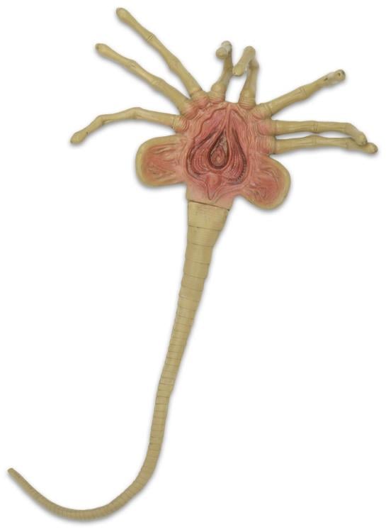 Aliens Facehugger Life-Size Foam Prop Replica Gallery Image 4