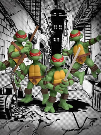 Teenage Mutant Ninja Turtles 5 Points Plus Boxed Set (Autographed and Cased) Gallery Image 2