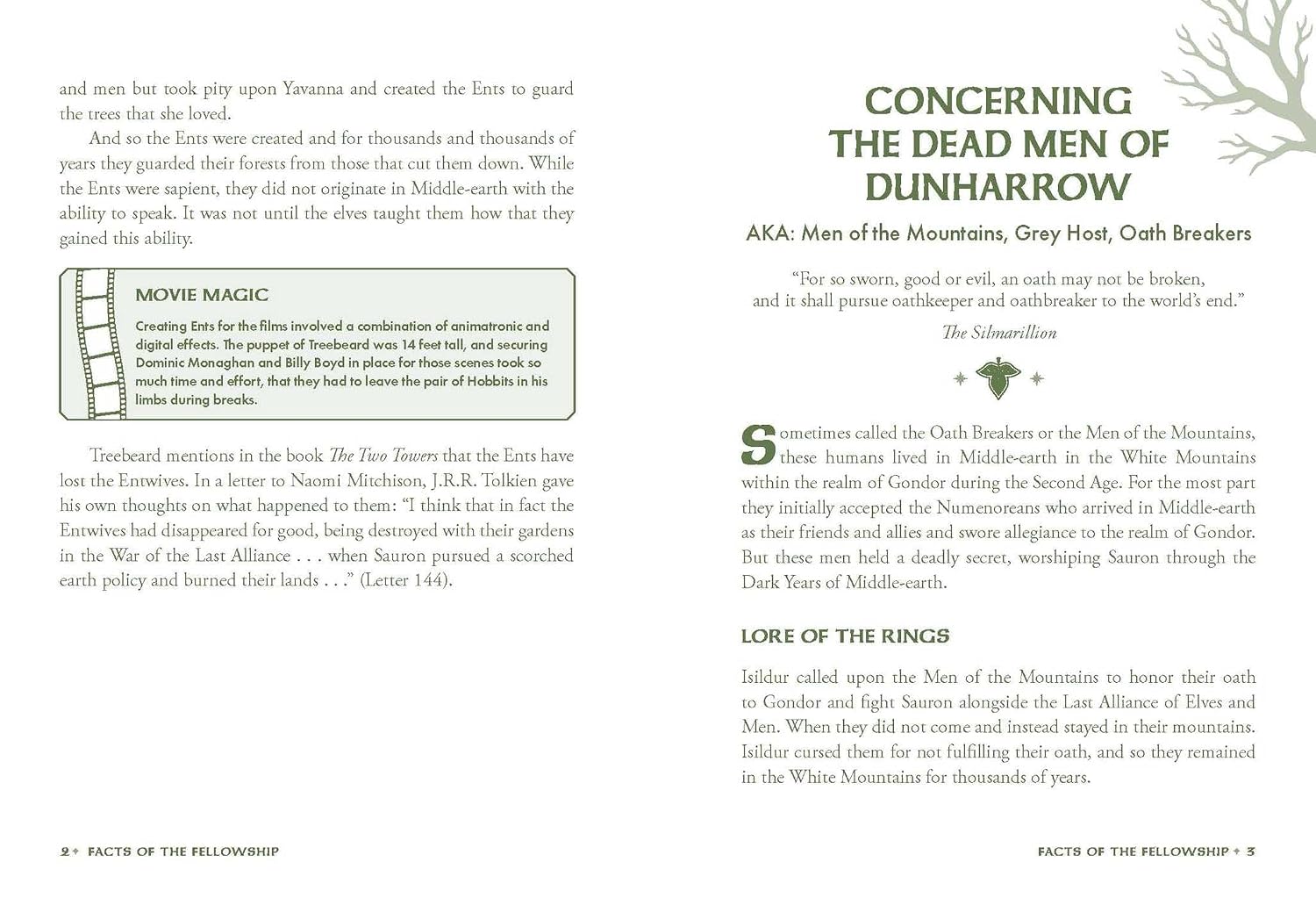 Facts of the Fellowship Gallery Image 5