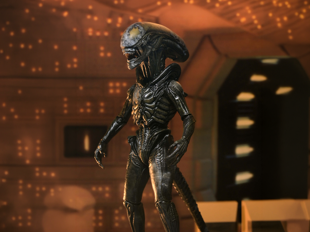 Alien: Earth Ultimate Wendy's Xenomorph Action Figure Gallery Image 1
