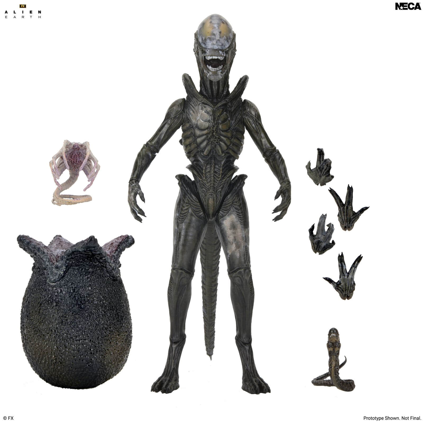 Alien: Earth Ultimate Wendy's Xenomorph Action Figure Gallery Image 8
