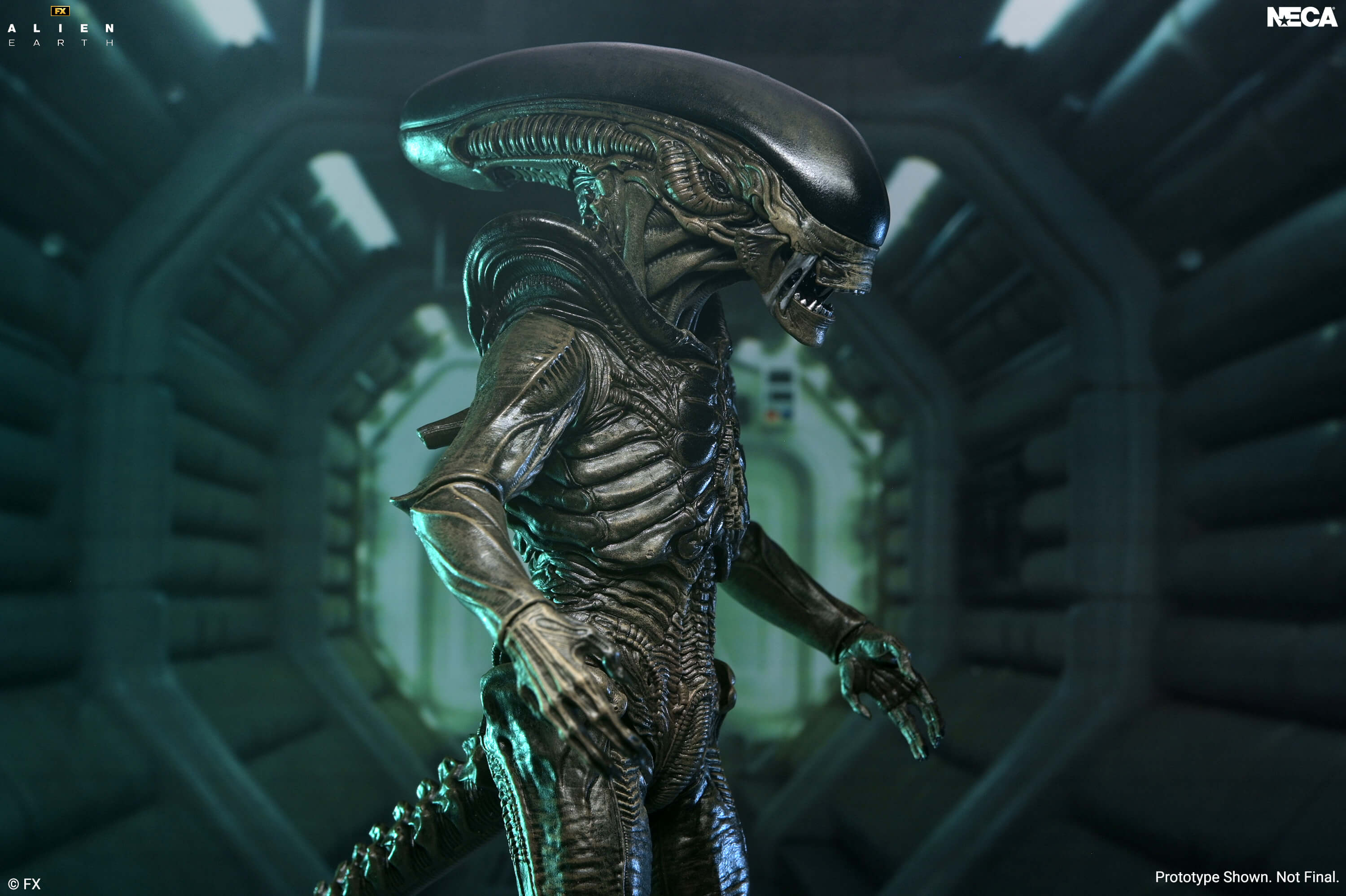Alien: Earth Ultimate Xenomorph Action Figure Gallery Image 5