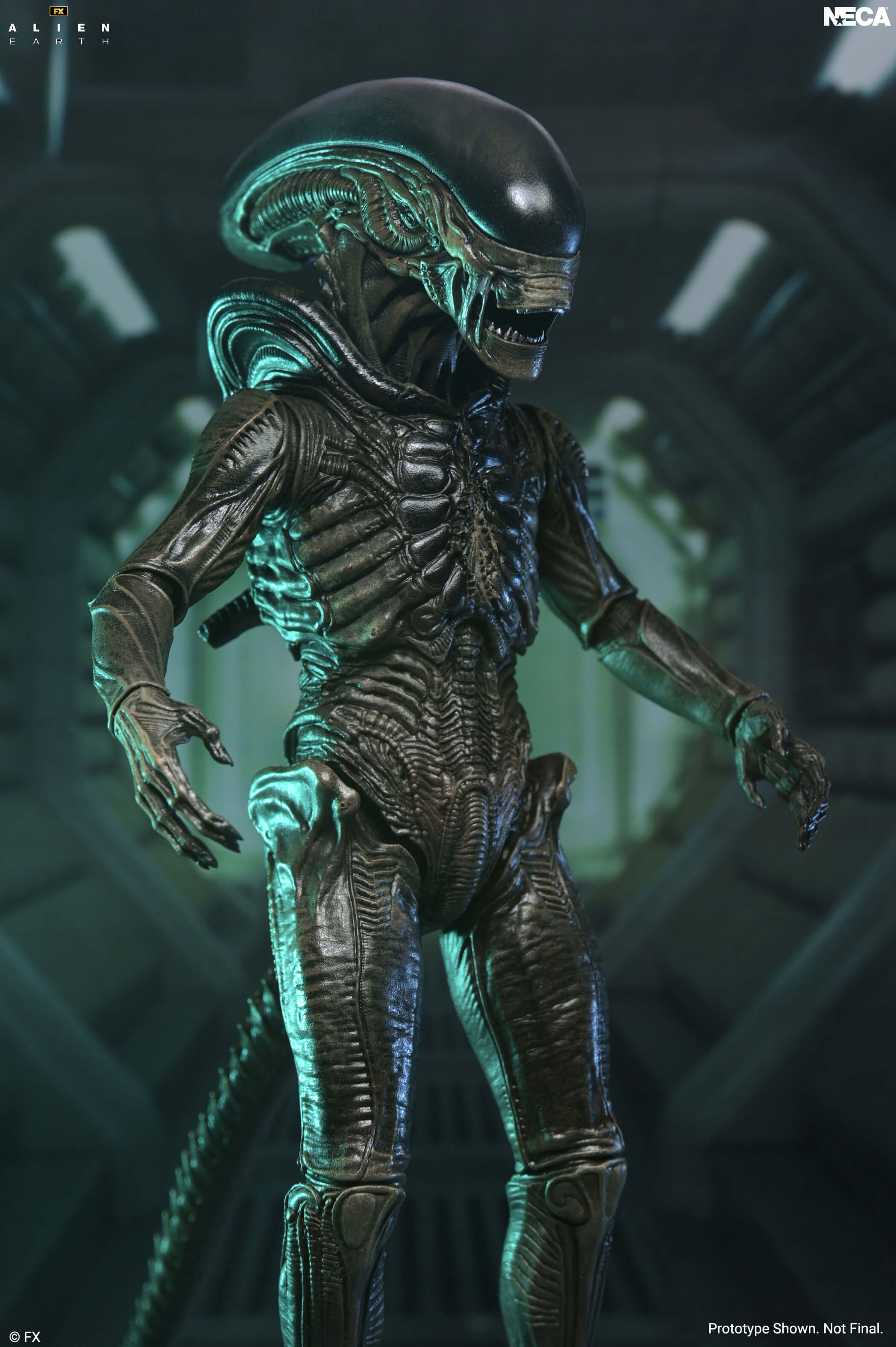 Alien: Earth Ultimate Xenomorph Action Figure Gallery Image 3