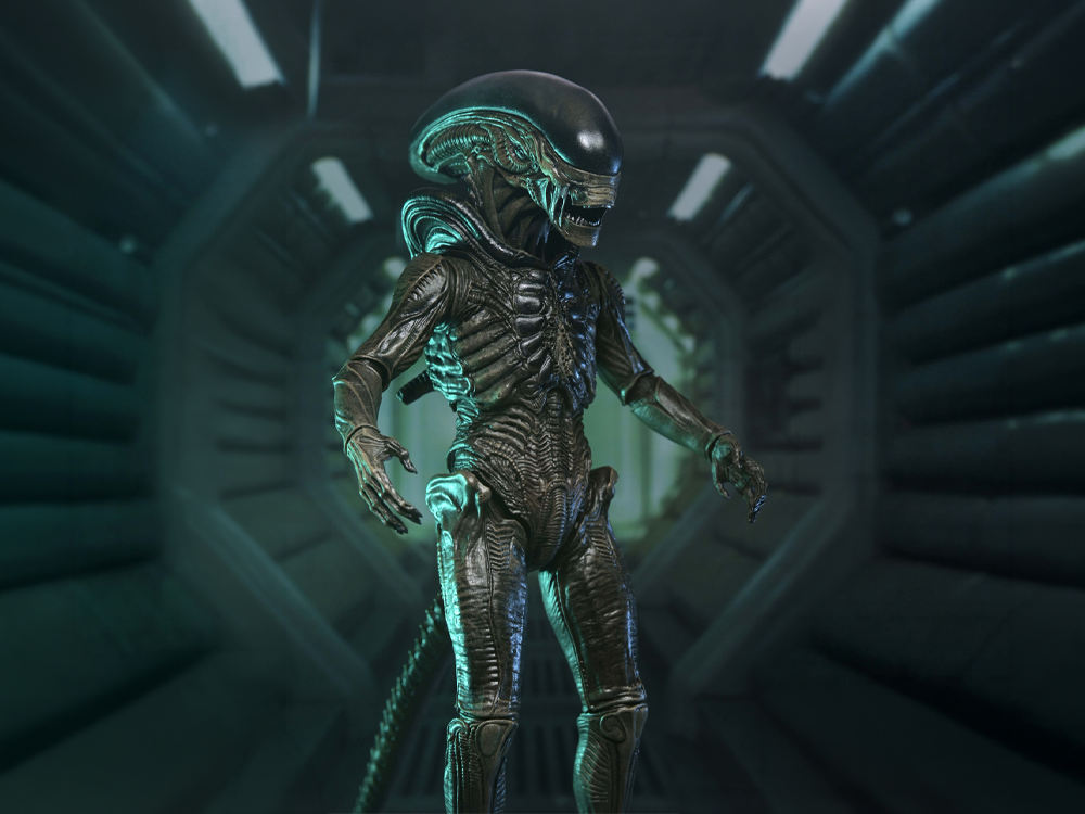 Alien: Earth Ultimate Xenomorph Action Figure Gallery Image 1