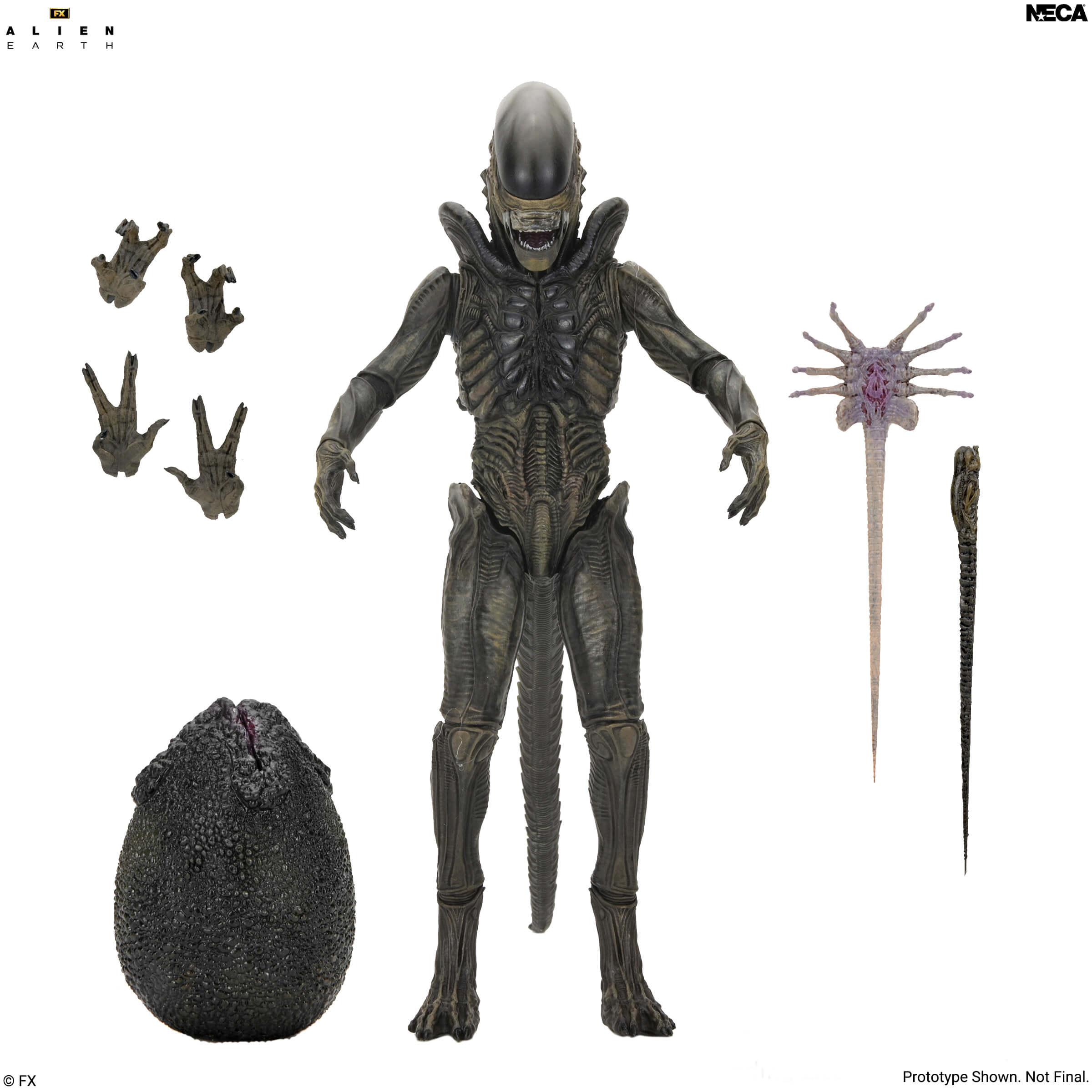 Alien: Earth Ultimate Xenomorph Action Figure Gallery Image 7