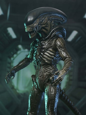 Alien: Earth Ultimate Xenomorph Action Figure Gallery Image 2