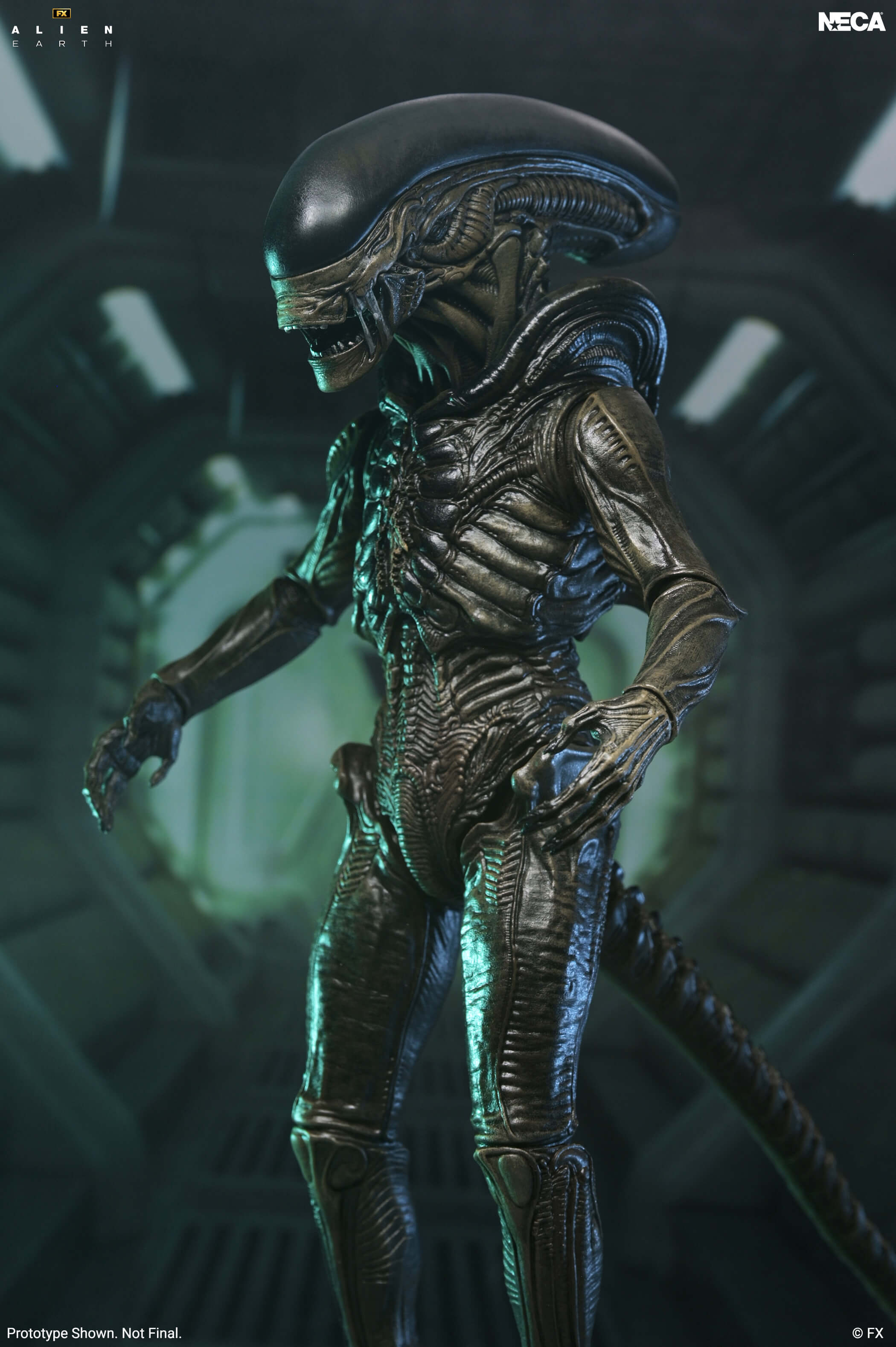 Alien: Earth Ultimate Xenomorph Action Figure Gallery Image 4