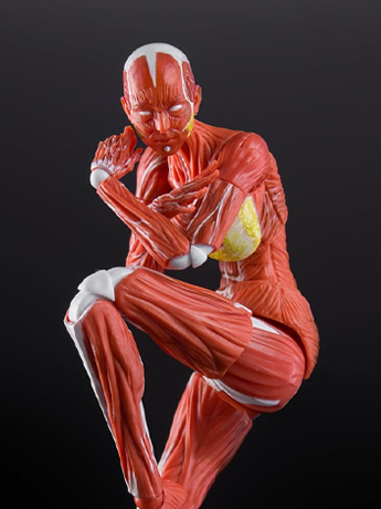 Image of Human Muscle Model 1/12 Scale Action Figure