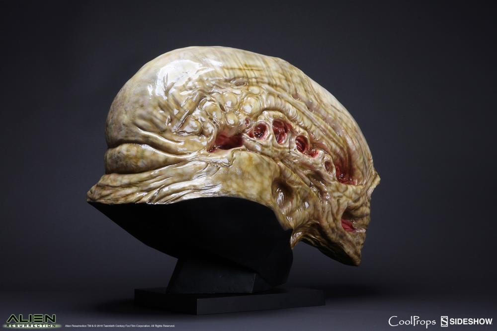 Alien: Resurrection Newborn Life-Size Head Prop Replica Gallery Image 6