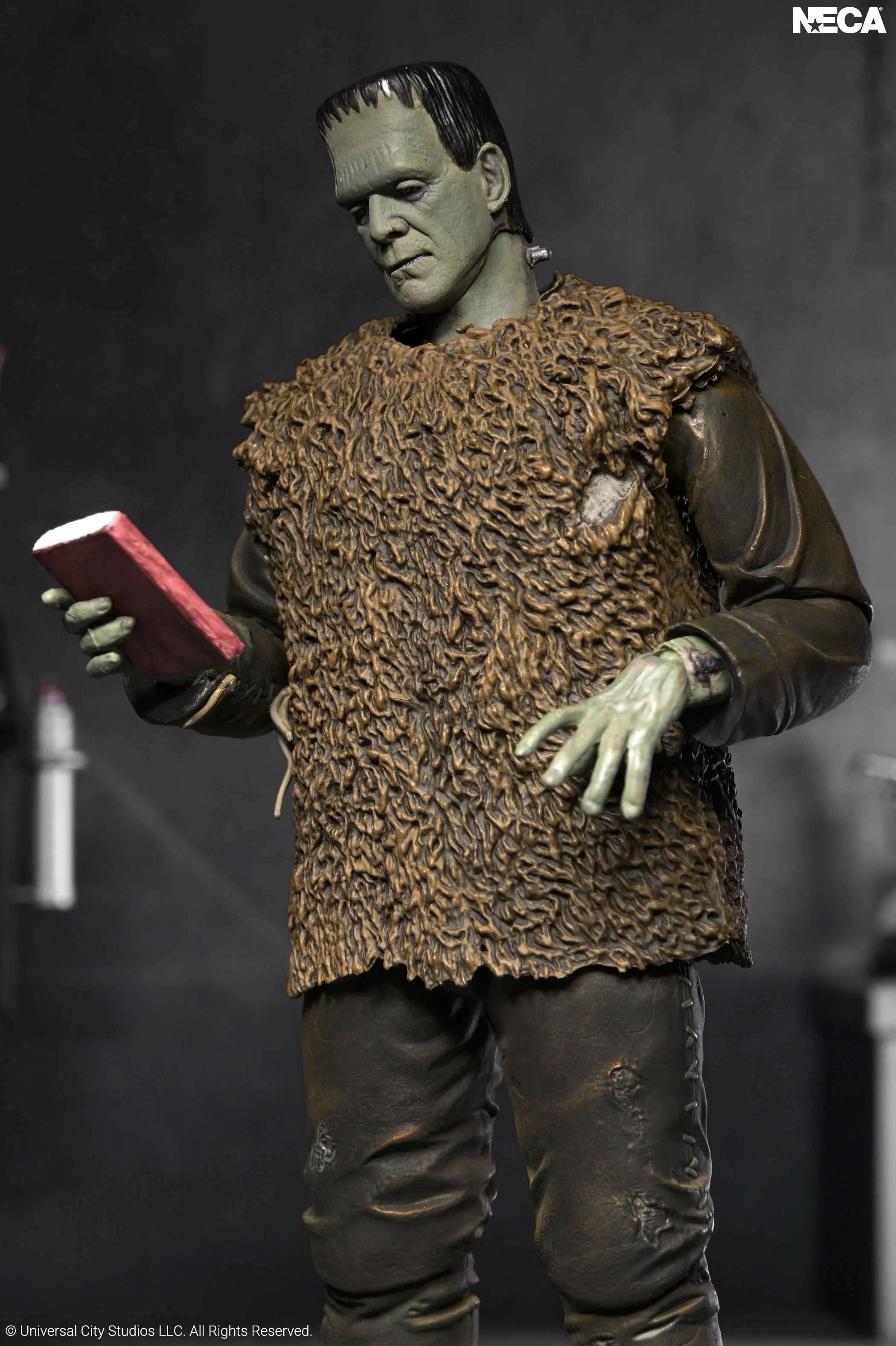 Universal Monsters Ultimate Frankenstein's Monster Action Figure Gallery Image 8