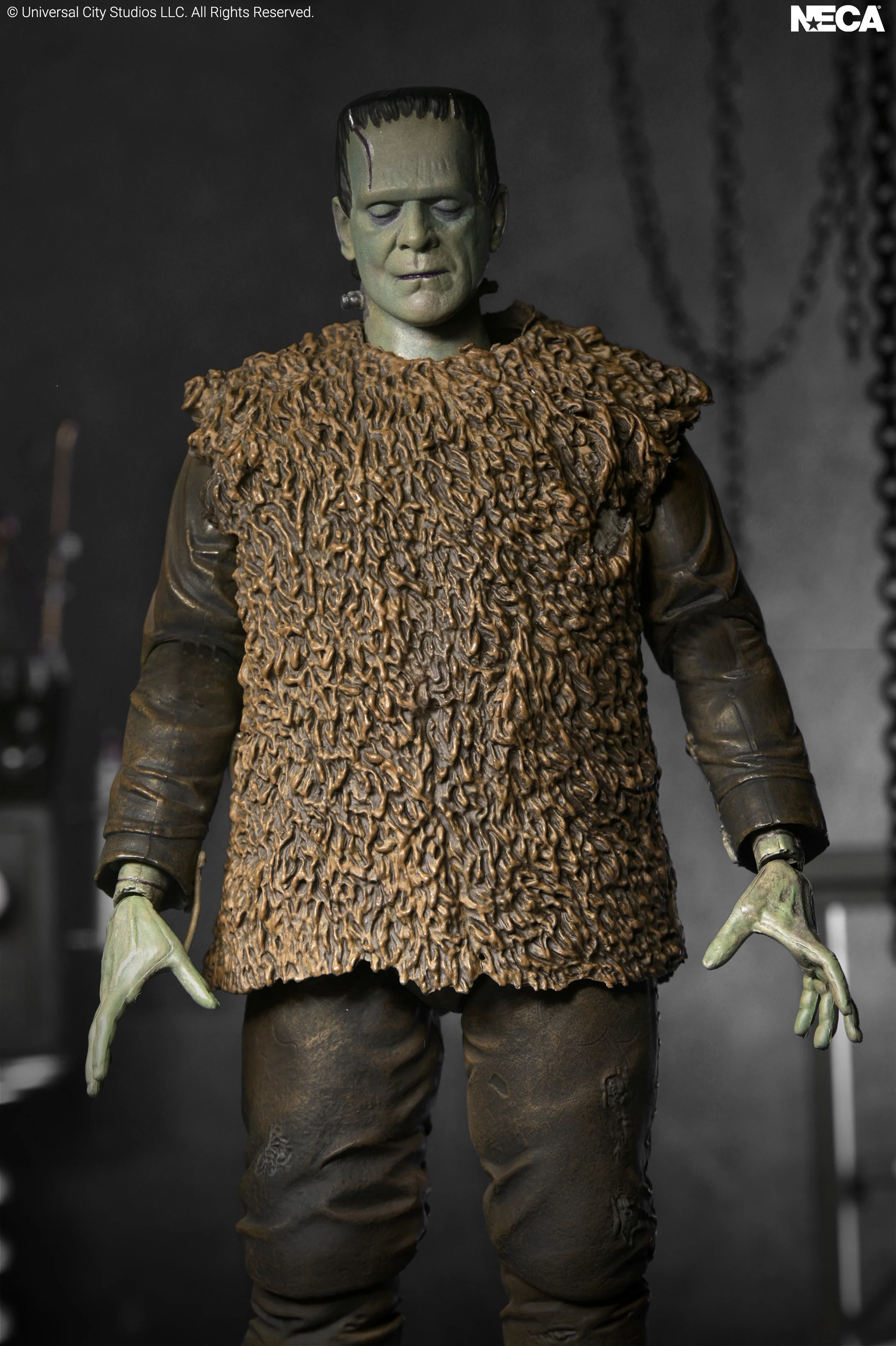 Universal Monsters Ultimate Frankenstein's Monster Action Figure Gallery Image 7