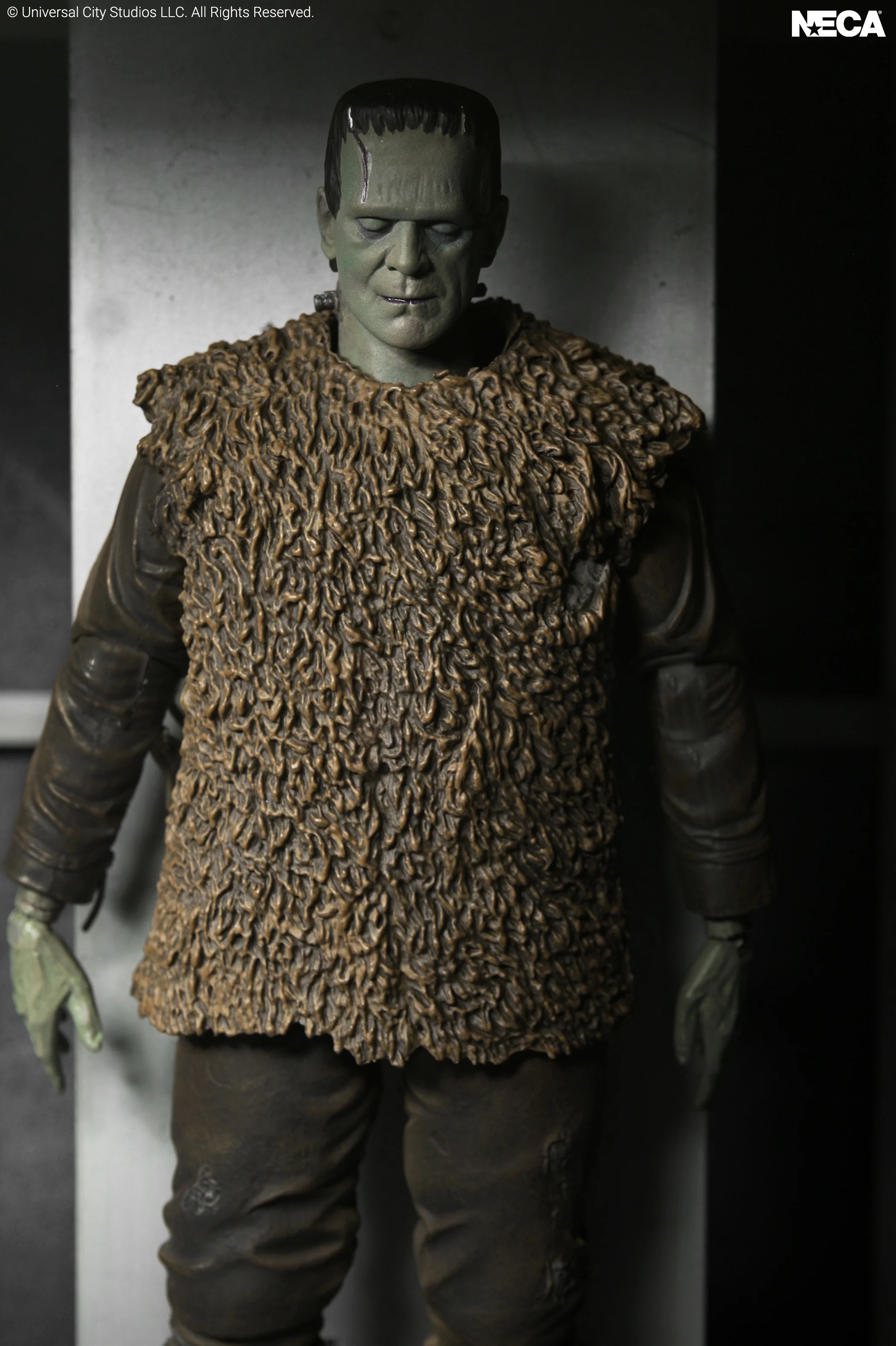 Universal Monsters Ultimate Frankenstein's Monster Action Figure Gallery Image 13