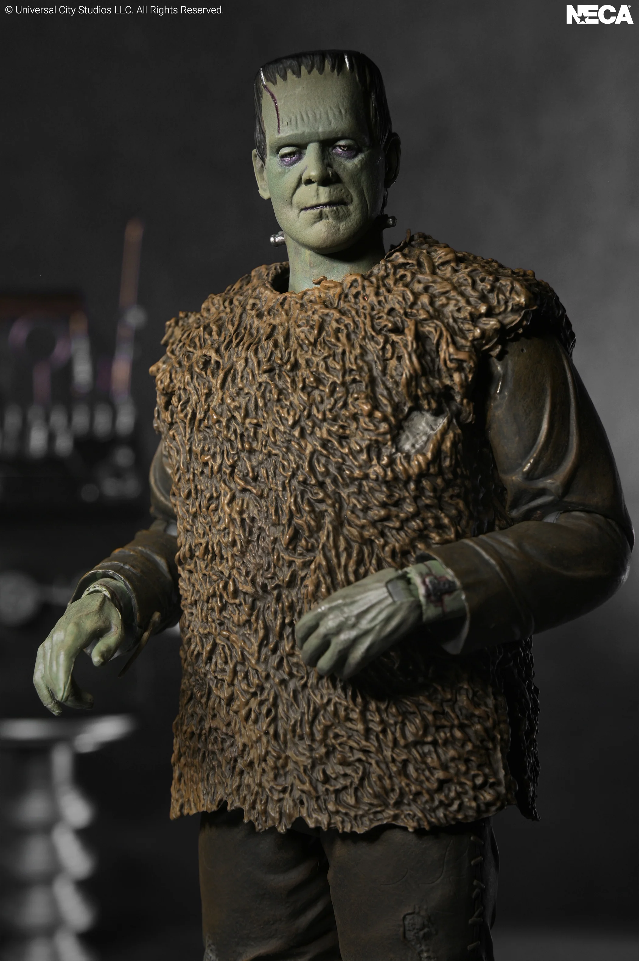 Universal Monsters Ultimate Frankenstein's Monster Action Figure Gallery Image 12