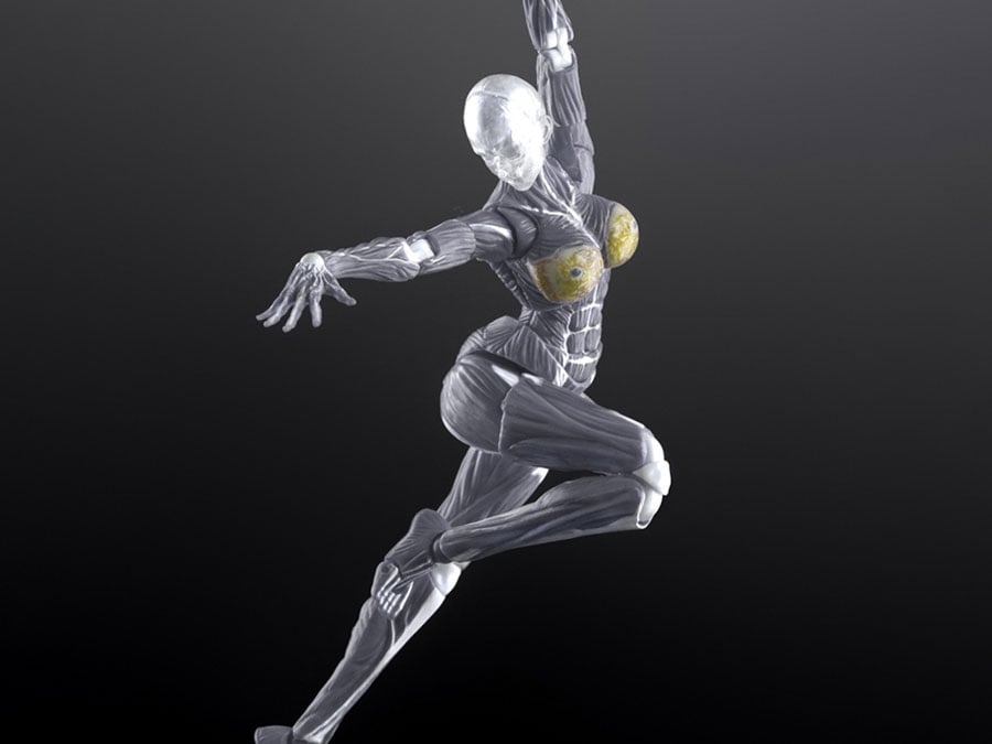 Human Muscle Model (Grey) 1/12 Scale Action Figure Gallery Image 1