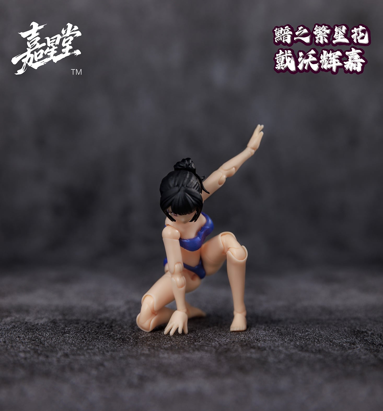Dark Starflower Daviga Action Figure Set (With Bonus) Gallery Image 8