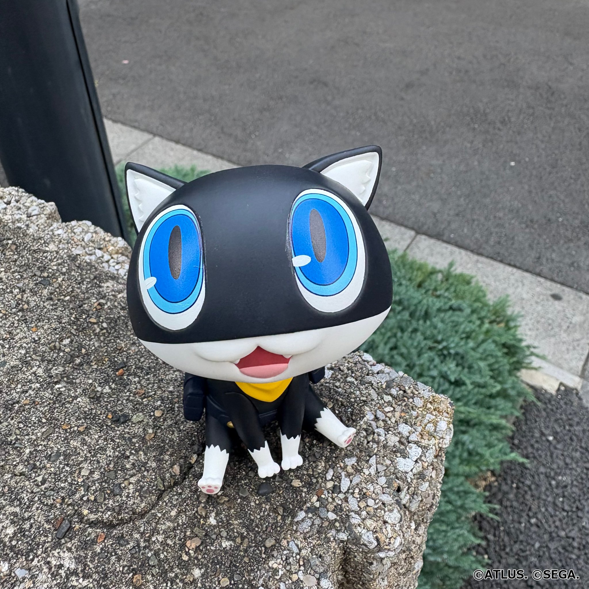 Persona 5 Royal Look Up Series Morgana Gallery Image 8