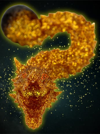 Godzilla: The Planet Eater (2018) Middle Size Series Godzilla EX 21st Edition Ghidorah (Golden Particle Ver.) Figure Gallery Image 2