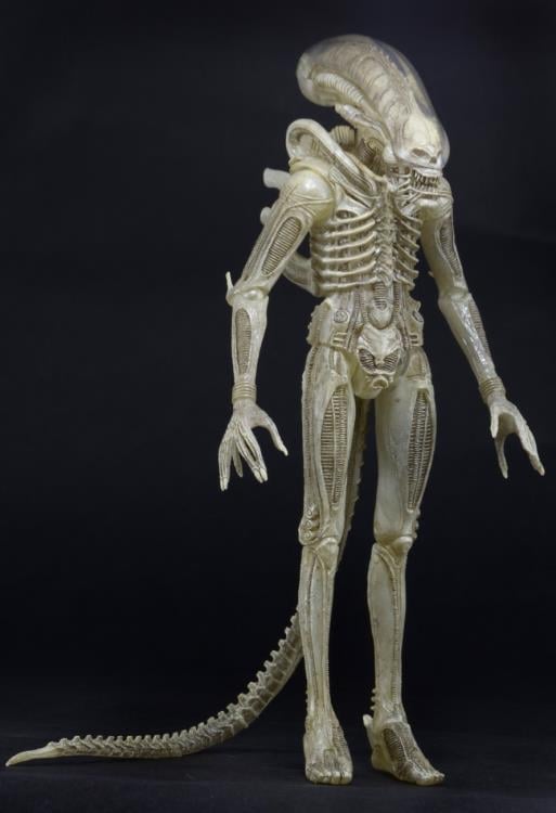 Alien (Translucent Prototype Suit Concept) 1/4 Scale Figure Gallery Image 5