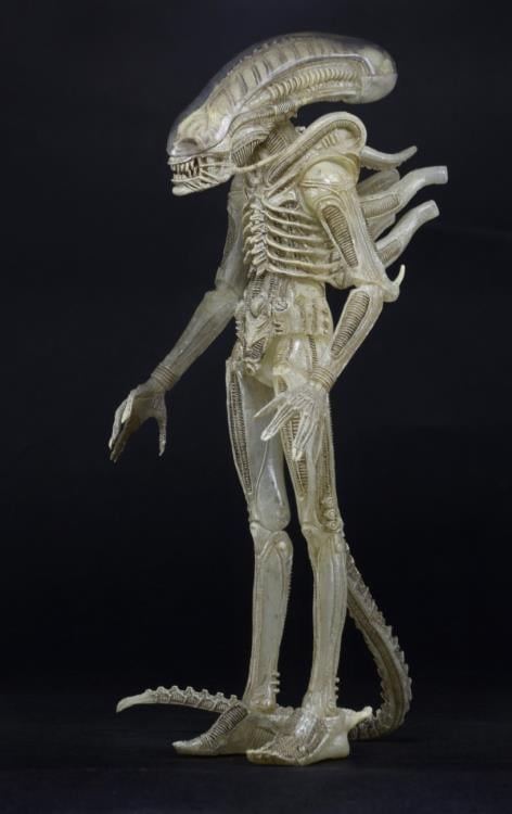 Alien (Translucent Prototype Suit Concept) 1/4 Scale Figure Gallery Image 7