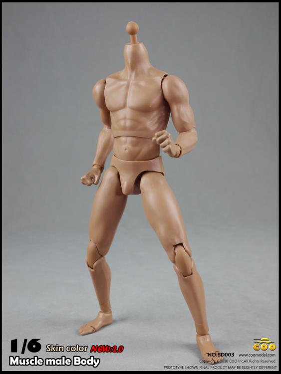 1/6 Scale Muscle Male Body 2.0 (9.80") Gallery Image 5