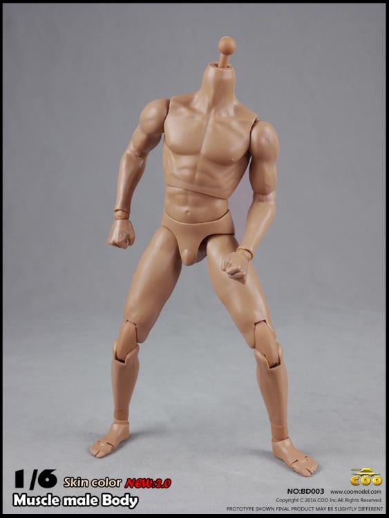 1/6 Scale Muscle Male Body 2.0 (9.80") Gallery Image 3