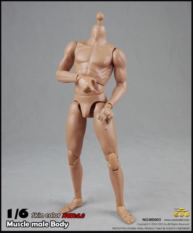 1/6 Scale Muscle Male Body 2.0 (9.80") Gallery Image 4